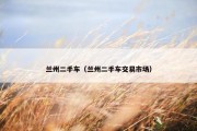 兰州二手车（兰州二手车交易市场）