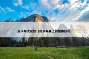 皮卡车大花纹（皮卡车身上的装饰拉花）
