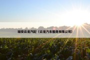 瑞安云龙汽配（云龙汽车服务有限公司）