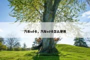 汽车sd卡，汽车sd卡怎么使用