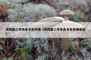 凤冈县二手车皮卡车市场（凤冈县二手车皮卡车市场电话）