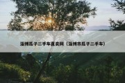 淄博瓜子二手车直卖网（淄博市瓜子二手车）