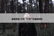 福迪揽福二手车（二手广东福迪揽福）