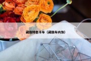 藏族特色卡车（藏族车内饰）