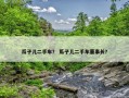 瓜子儿二手车？ 瓜子儿二手车董事长？