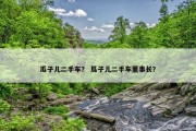瓜子儿二手车？ 瓜子儿二手车董事长？