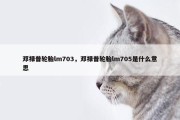 邓禄普轮胎lm703，邓禄普轮胎lm705是什么意思