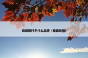 路霸摩托车什么品牌（路霸价格）