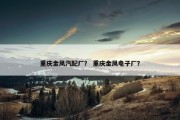 重庆金凤汽配厂？ 重庆金凤电子厂？