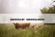轮胎花纹怎么看？ 轮胎花纹怎么看正反？