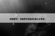 轮胎数字？ 轮胎数字后面的h是什么意思？