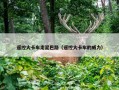 遥控大卡车走泥巴路（遥控大卡车的威力）