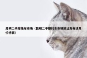 昆明二手摩托车市场（昆明二手摩托车市场地址及电话及价格表）