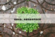 蜂巢轮胎，蜂巢轮胎有民用的吗