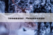 汽车快修美容系统？ 汽车快修美容系统官网？