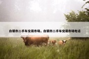 白银市二手车交易市场，白银市二手车交易市场电话