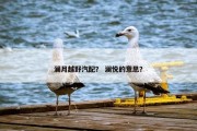 澜月越野汽配？ 澜悦的意思？