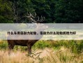 什么车用倍耐力轮胎，倍耐力什么轮胎抓地力好