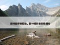 固特异御乘轮胎，固特异御乘轮胎图片