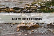 银川皮卡车（银川皮卡车可以进城吗）