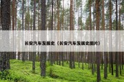 长安汽车发展史（长安汽车发展史图片）