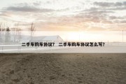 二手车购车协议？ 二手车购车协议怎么写？