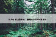 雅马哈小型摩托车？ 雅马哈小型摩托车报价？