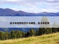 皮卡车检验标志什么颜色，皮卡车检审