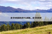皮卡车检验标志什么颜色，皮卡车检审