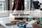 小矮卡车？ 最小的小卡车？