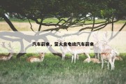 汽车蔚来，萤火虫电动汽车蔚来