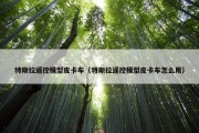 特斯拉遥控模型皮卡车（特斯拉遥控模型皮卡车怎么用）