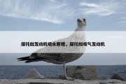 摩托艇发动机喷水原理，摩托艇喷气发动机