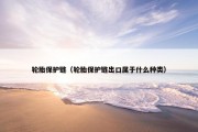 轮胎保护链（轮胎保护链出口属于什么种类）