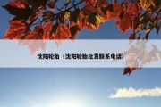 沈阳轮胎（沈阳轮胎批发联系电话）