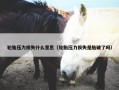 轮胎压力损失什么意思（轮胎压力损失是胎破了吗）