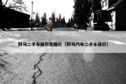 野马二手车报价及图片（野马汽车二手车报价）