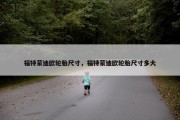 福特蒙迪欧轮胎尺寸，福特蒙迪欧轮胎尺寸多大
