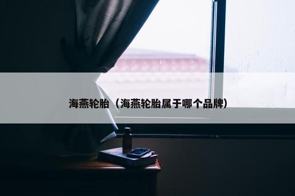 海燕轮胎（海燕轮胎属于哪个品牌）