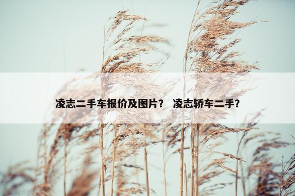凌志二手车报价及图片？ 凌志轿车二手？