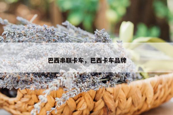 巴西串联卡车，巴西卡车品牌
