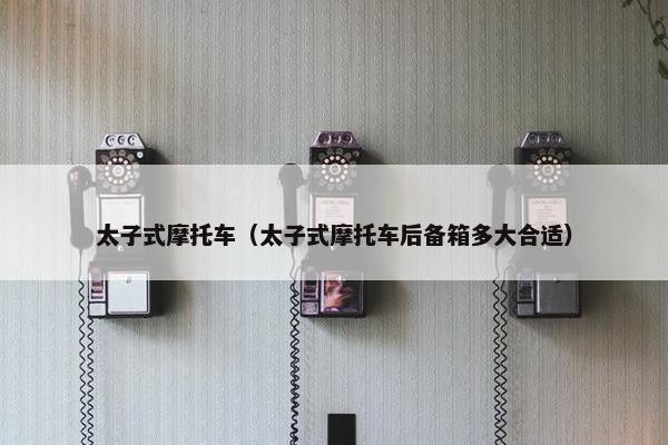 太子式摩托车（太子式摩托车后备箱多大合适）