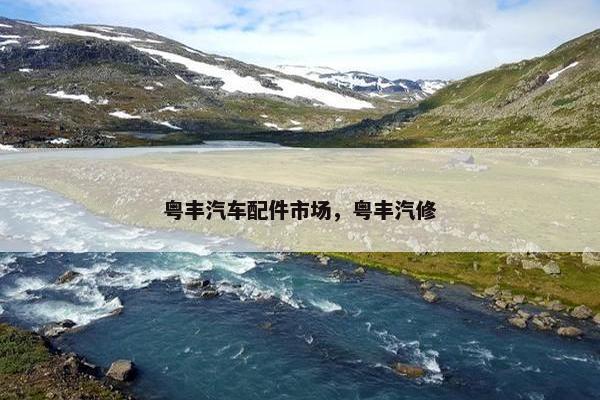 粤丰汽车配件市场，粤丰汽修