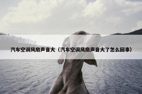 汽车空调风扇声音大（汽车空调风扇声音大了怎么回事）