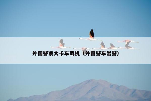 外国警察大卡车司机（外国警车出警）