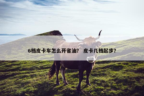 6档皮卡车怎么开省油？ 皮卡几档起步？