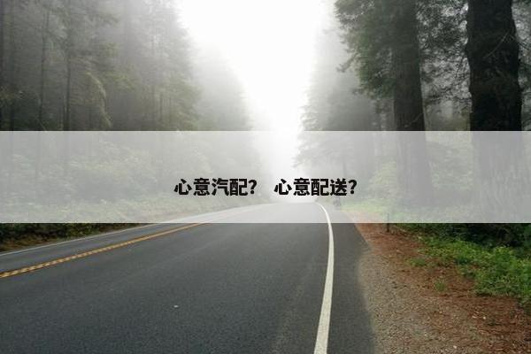 心意汽配？ 心意配送？