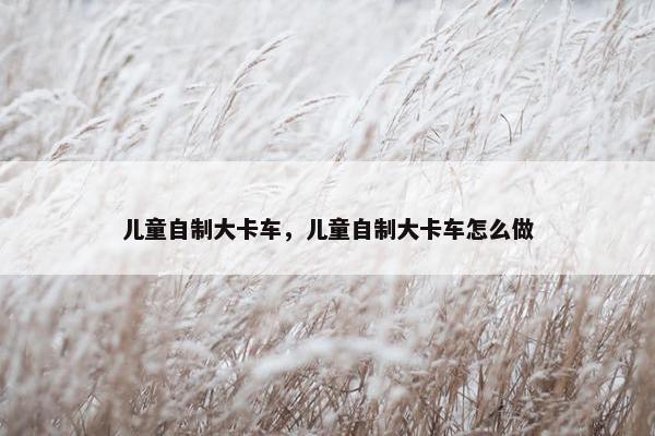 儿童自制大卡车，儿童自制大卡车怎么做