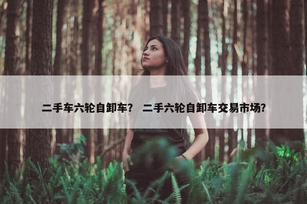 二手车六轮自卸车？ 二手六轮自卸车交易市场？