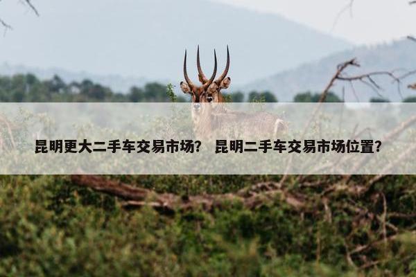 昆明更大二手车交易市场？ 昆明二手车交易市场位置？